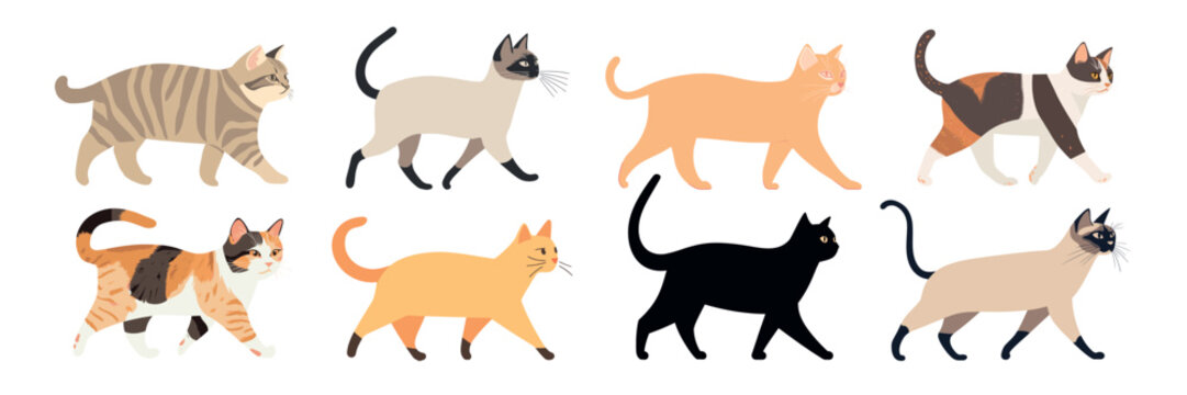 Diverse walking cat illustrations, isolated vector set