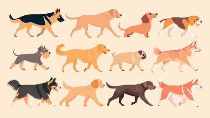 Fototapeta premium Diverse dog breeds illustration, isolated vector set