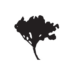 Silhouette of dry lichen. Boho minimalist abstract tree. Black botanical rustic moss isolated on white background.