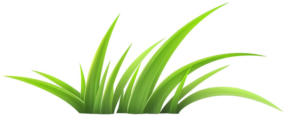 Fresh green grass blades with smooth curves and sharp tips. Realistic shading. Isolated PNG format. Transparent background. High-resolution vector illustration.