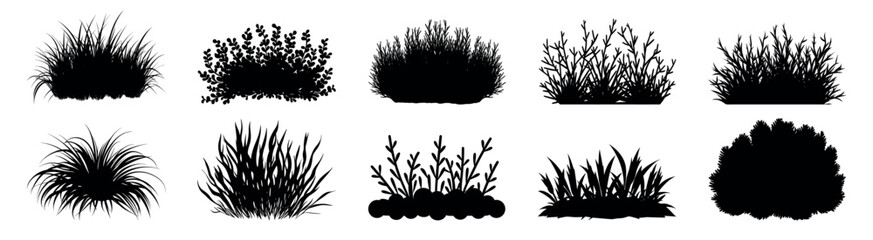 Silhouette bush vector collection, isolated vector set
