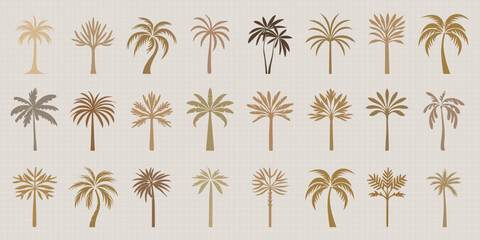 Elegant palm tree silhouettes collection, isolated vector set