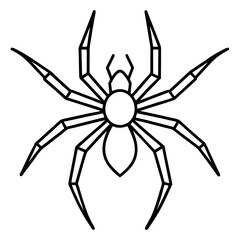 Minimalist Wolf Spider Line Art Vector