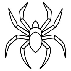 Minimalist Wolf Spider Line Art Vector