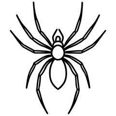 Minimalist Wolf Spider Line Art Vector