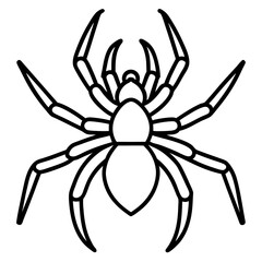 Minimalist Wolf Spider Line Art Vector