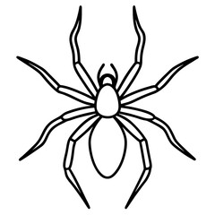 Obraz premium Minimalist Wolf Spider Line Art Vector