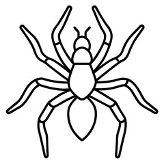Minimalist Wolf Spider Line Art Vector