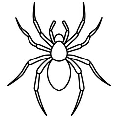 Minimalist Wolf Spider Line Art Vector