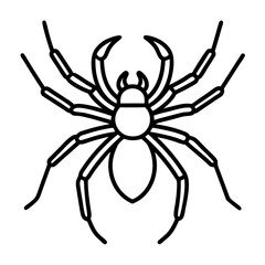 Minimalist Wolf Spider Line Art Vector
