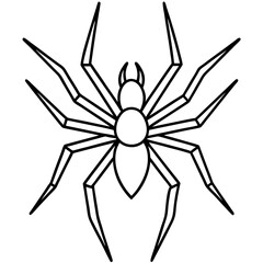 Minimalist Wolf Spider Line Art Vector
