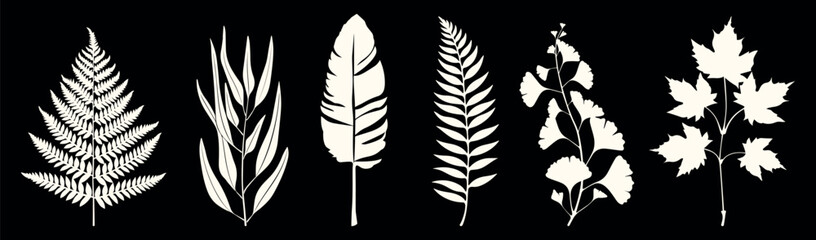Fototapeta premium Silhouettes of diverse leaves, isolated vector set