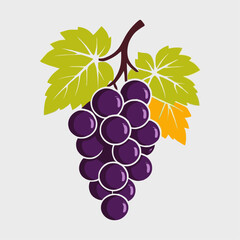 Fototapeta premium Vector Illustration of a Bunch of Purple Grapes with Leaves