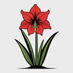 Vibrant Red Amaryllis Flower Illustration