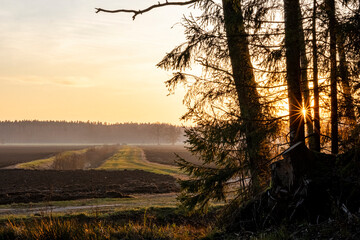 beautiful late autumn sunset landscape with field and tree branches. Latvia flat landscape