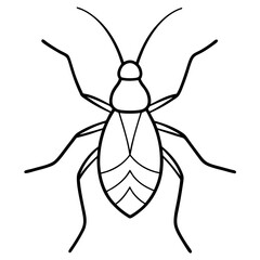 Modern Aphid Line Art