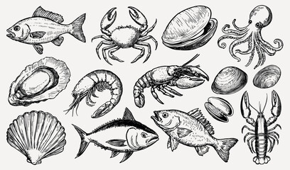 Vintage seafood illustration collection, isolated vector set