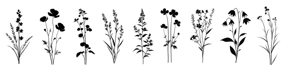 Naklejka premium Elegant floral silhouette vector collection, isolated vector set