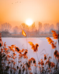 sunrise over the lake