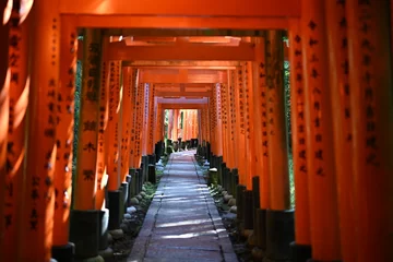 Selbstklebende Fototapeten 伏見稲荷大社の鳥居 © FUJI