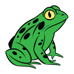 green frog on white background