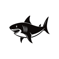 shark vector illustration
