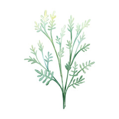 Leaves green watercolor set illustration isolated white background. Hand drawn floral botanical painting. Congratulations, wedding, greeting, invitation card, print, decoration