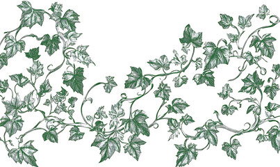 flowers and leaves in pictures illustrator2D