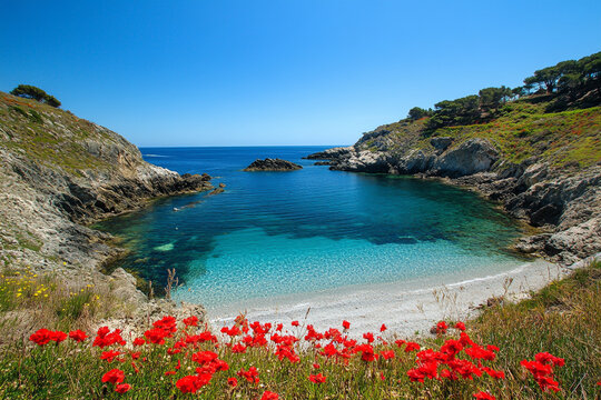 Photo of Isla de la pourtune in El Medelloir, Kingdoom evening with clear blue water and red flowers on the beach, landscape photo, beautiful view of small cove, bright sunny day.