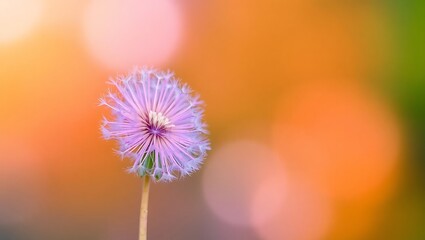 Fototapeta premium Beautiful spring nature background