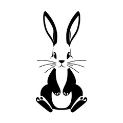 Black and White Rabbit Portrait.