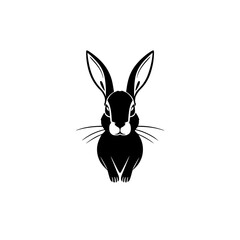 Black rabbit standing in a white background.