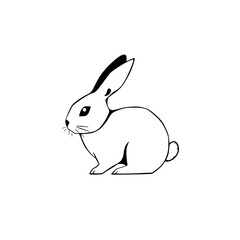 Minimalist illustration of a white rabbit in profile, set against a clean white backdrop.