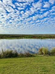 Landscape at Sweetwater Wetlands Preserve in Gainesville, FL