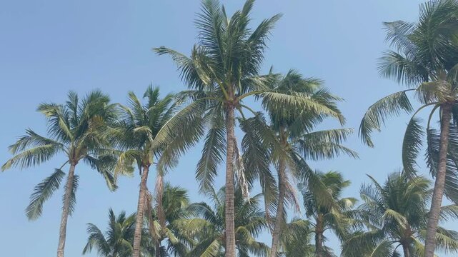 Vertical Screen: Magnificent Blue Ocean Shore Location for Tourists. Beautiful and Powerful Wild Nature and Seashore. Travel Guide Spot. Warm Beach with Golden Sand at the Sea. Day with Light Clouds.