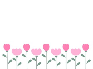 ピンクのチューリップの背景