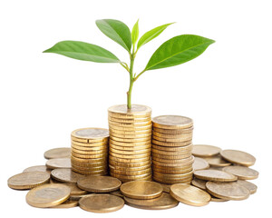 Pile of coins with a growing plant on top symbolizing financial growth isolated on transparent background