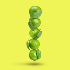 Fresh whole lime falling on yellow background