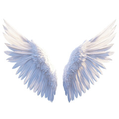 Fototapeta premium 3D White angel wings on transparent background, Dimensional model rendered asset, Angled side view, bird feather design natural angelic flying