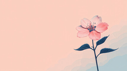 Naklejka premium minimalist design featuring single cherry blossom against soft pastel background evokes sense of tranquility and beauty