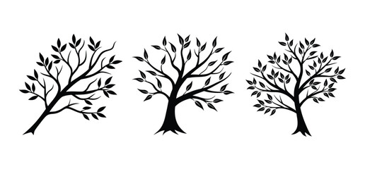 Illustration tree with leaves silhouette on white background