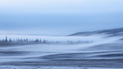 Obraz premium Fog rolling across a barren landscape, soft movement obscuring distant trees