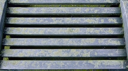 Close Up of Aged Wooden Slats with Lichen in Horizontal Pattern Gray Brown Tone