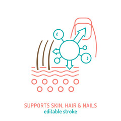 Collagen for nails, skin and hair line icon. Important protein pictogram.