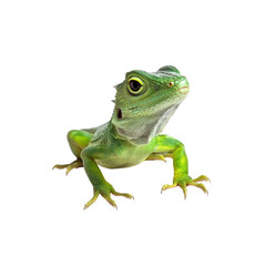 Green lizard with vibrant skin, showcasing detailed features and textures