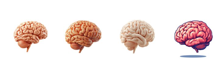 Evolving Human Brain Concepts in Various Shades and Styles