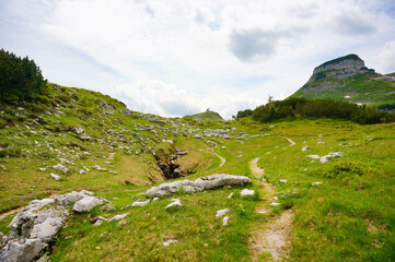 Footpath in the middle of beautiful Austrian Hills © Everyday Frame