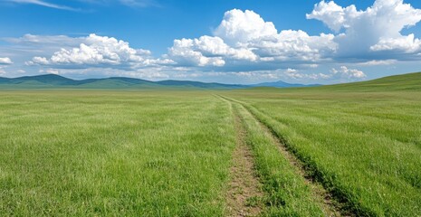 Naklejka premium Vast green field under a partly cloudy blue sky, a dirt path traverses the center leading to distant mesas. Bright sunlight illuminates the