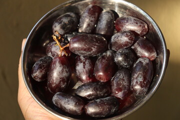 blueberries in a bowl