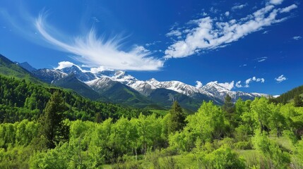 Obraz premium Fresh mountain landscape with green trees and snow-capped peaks under a blue sky.